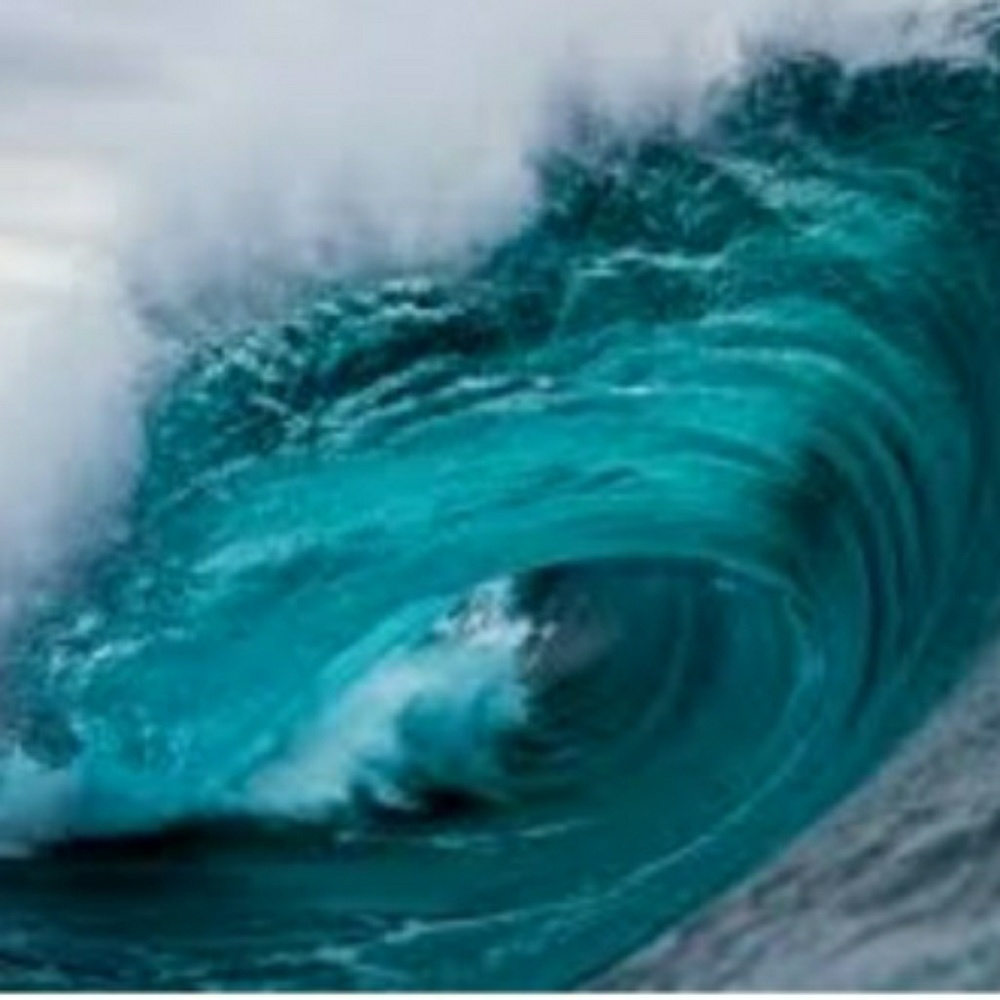 Meet your Posher, JH.